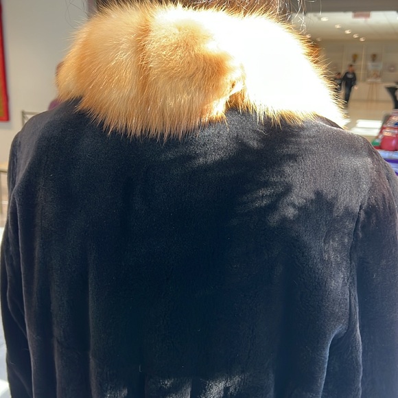 SABLE NEW luxury, top quality black sheared SAGA Mink with Golden Sable Tuxedo - Picture 7 of 7